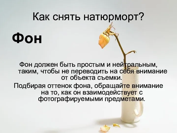 Как снять натюрморт? Фон Фон должен быть простым и нейтральным, таким, чтобы