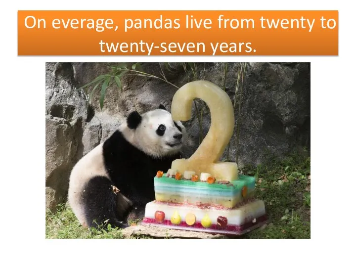 On everage, pandas live from twenty to twenty-seven years.