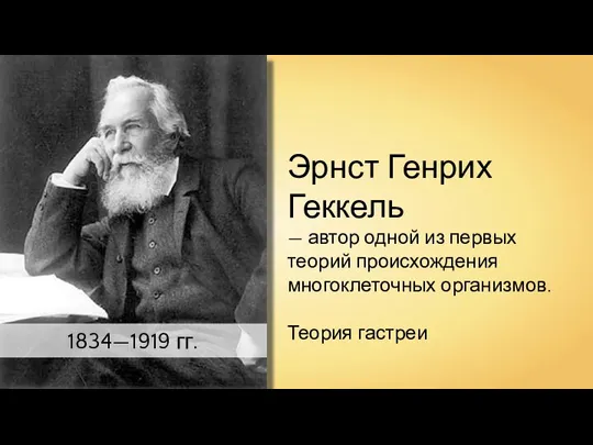 1834—1919 гг. Эрнст Генрих Геккель — автор одной из первых теорий происхождения многоклеточных организмов. Теория гастреи