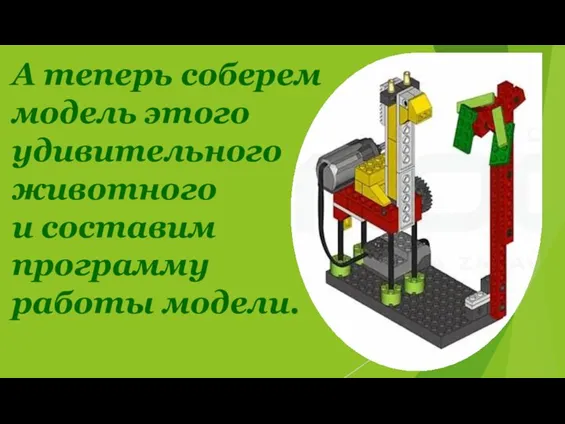 А теперь соберем модель этого удивительного животного и составим программу работы модели.