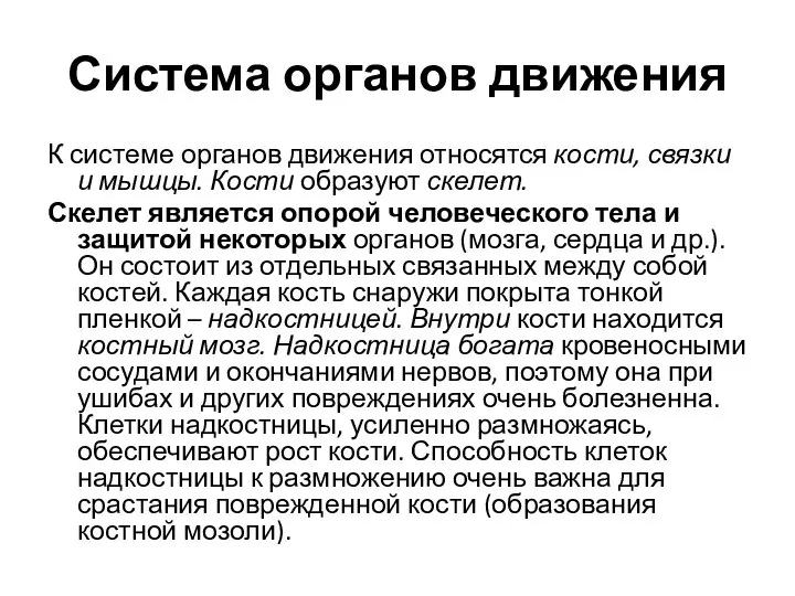 Система органов движения К системе органов движения относятся кости, связки и мышцы.