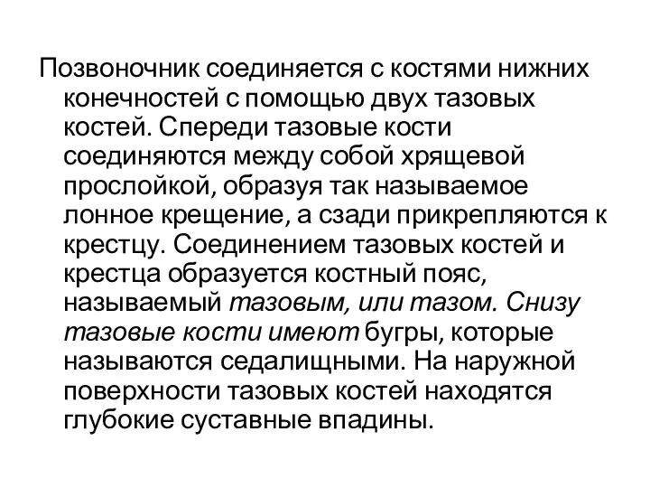 Позвоночник соединяется с костями нижних конечностей с помощью двух тазовых костей. Спереди