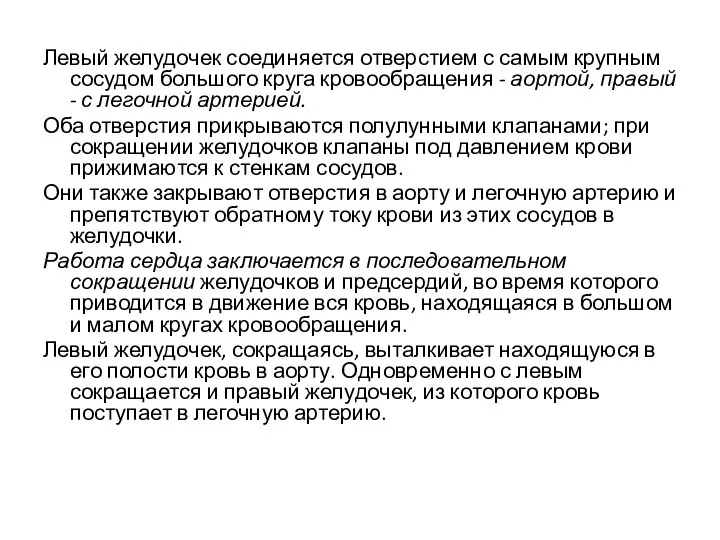 Левый желудочек соединяется отверстием с самым крупным сосудом большого круга кровообращения -