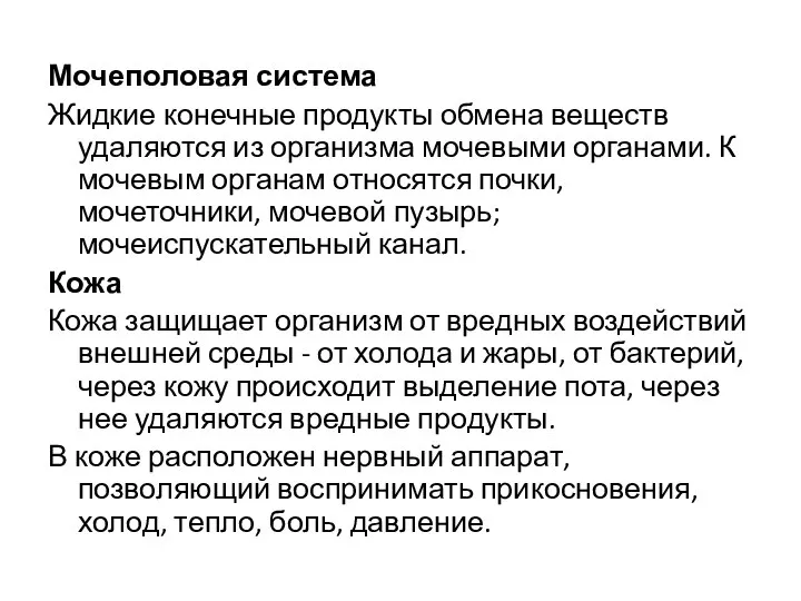 Мочеполовая система Жидкие конечные продукты обмена веществ удаляются из организма мочевыми органами.