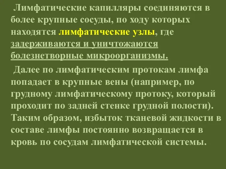 Лимфатические капилляры соединяются в более крупные сосуды, по ходу которых находятся лимфатические