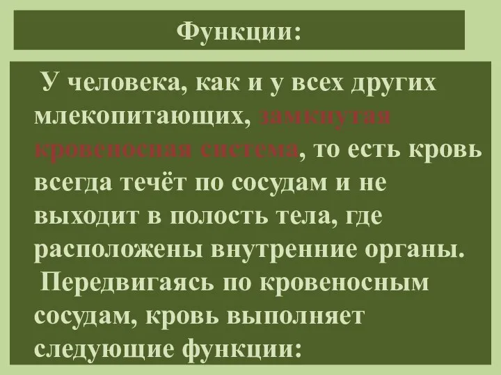 Функции: У человека, как и у всех других млекопитающих, замкнутая кровеносная система,