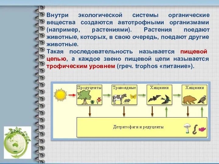 Внутри экологической системы органические вещества создаются автотрофными организмами (например, растениями). Растения поедают