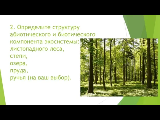 2. Определите структуру абиотического и биотического компонента экосистемы: листопадного леса, степи, озера,