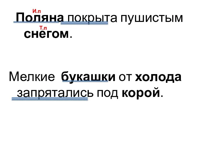 Поляна покрыта пушистым снегом. Мелкие букашки от холода запрятались под корой. И.п Т.п