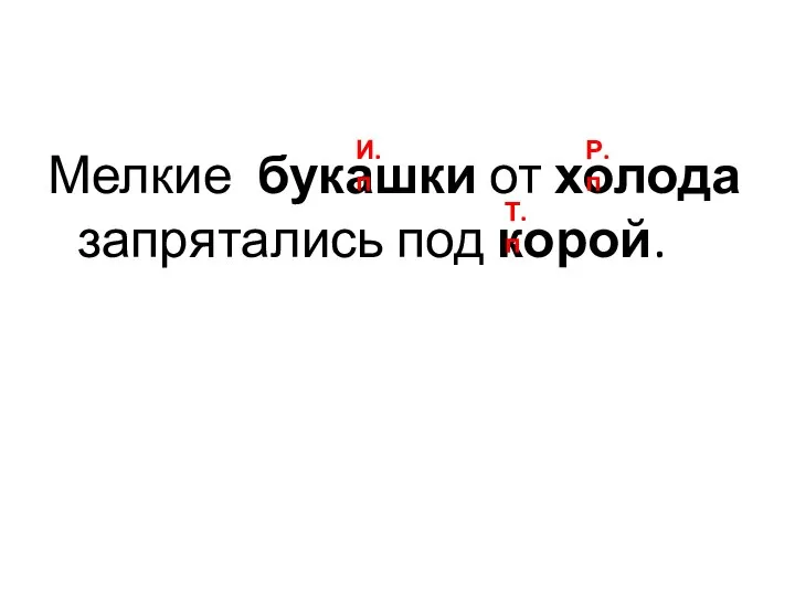 Мелкие букашки от холода запрятались под корой. И.п Р.п Т.п