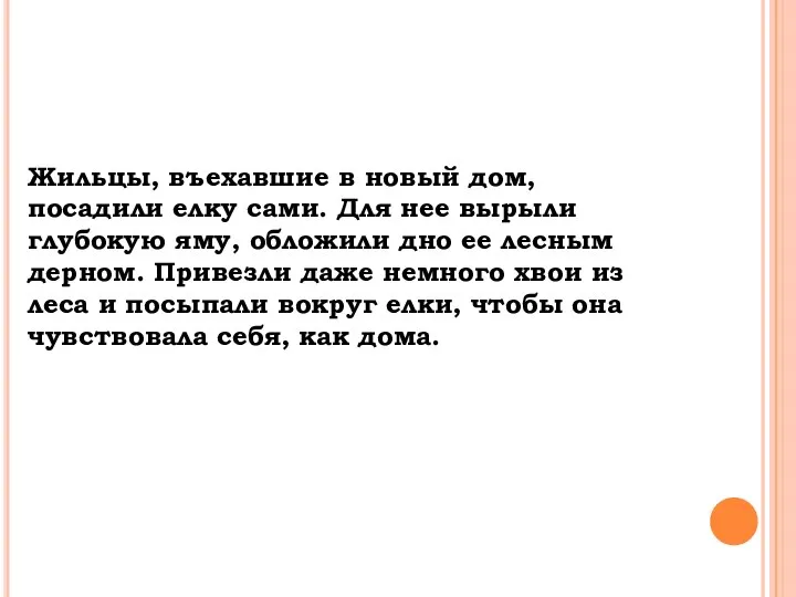 Жильцы, въехавшие в новый дом, посадили елку сами. Для нее вырыли глубокую