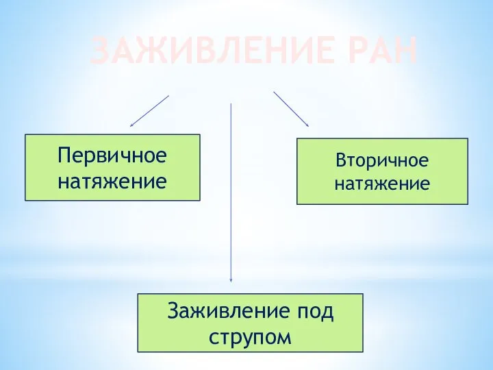 ЗАЖИВЛЕНИЕ РАН Первичное натяжение Вторичное натяжение Заживление под струпом