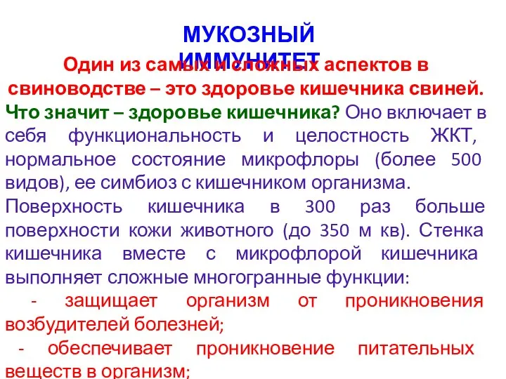 МУКОЗНЫЙ ИММУНИТЕТ Один из самых и сложных аспектов в свиноводстве – это