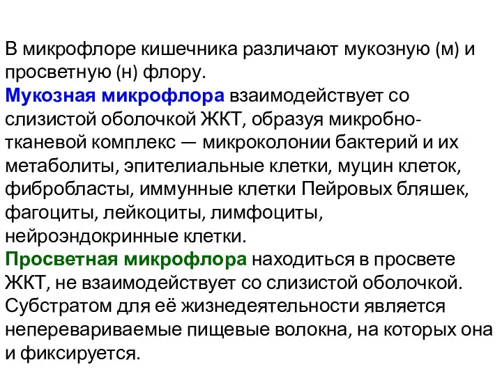 В микрофлоре кишечника различают мукозную (м) и просветную (н) флору. Мукозная микрофлора