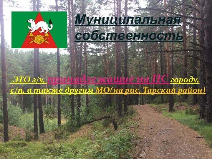 Муниципальная собственность -ЭТО з/у, принадлежащие на ПС городу, с/п, а также другим МО(на рис. Тарский район)