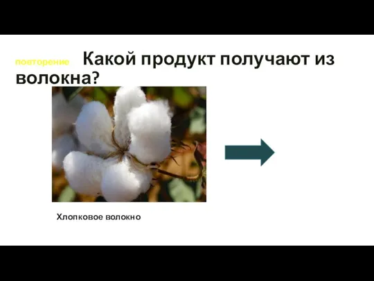 повторение Какой продукт получают из волокна? Хлопковое волокно