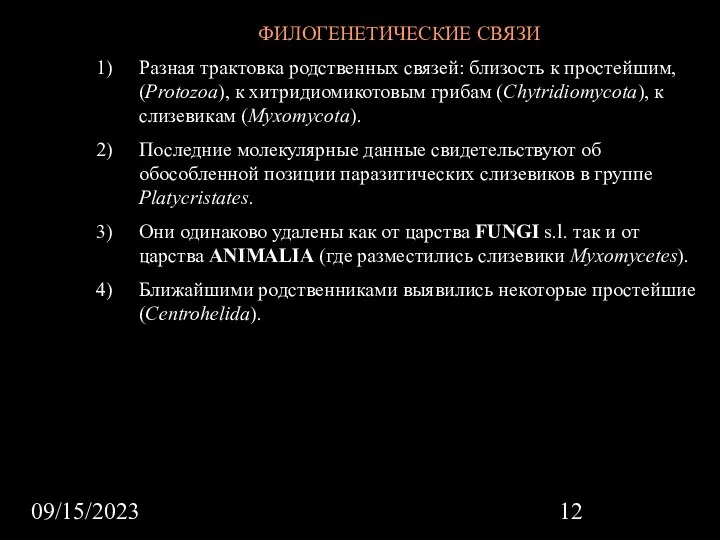 09/15/2023 ФИЛОГЕНЕТИЧЕСКИЕ СВЯЗИ Разная трактовка родственных связей: близость к простейшим, (Protozoa), к