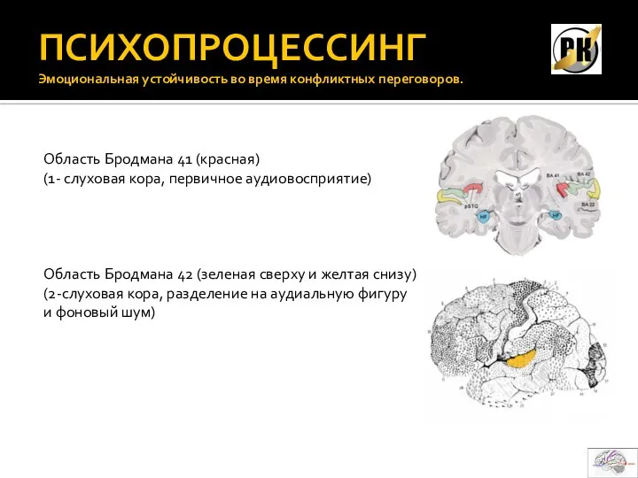 ПСИХОПРОЦЕССИНГ Эмоциональная устойчивость во время конфликтных переговоров. Область Бродмана 41 (красная) (1-