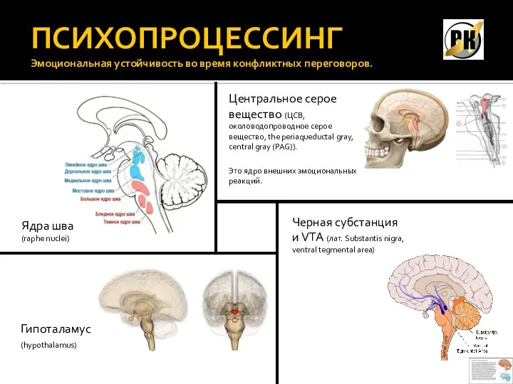 ПСИХОПРОЦЕССИНГ Эмоциональная устойчивость во время конфликтных переговоров. Центральное серое вещество (ЦСВ, околоводопроводное