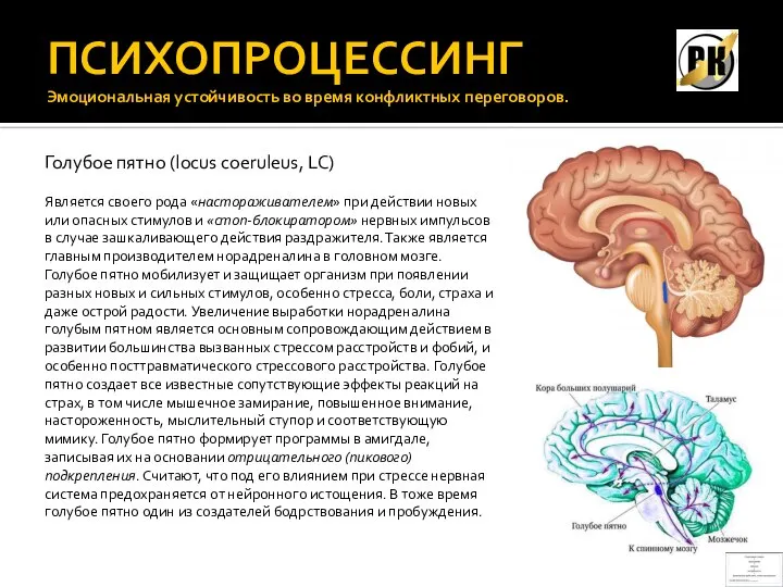 ПСИХОПРОЦЕССИНГ Эмоциональная устойчивость во время конфликтных переговоров. Голубое пятно (locus coeruleus, LC)