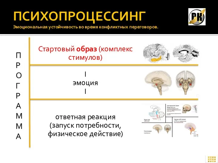 ПСИХОПРОЦЕССИНГ Эмоциональная устойчивость во время конфликтных переговоров. Стартовый образ (комплекс стимулов) I