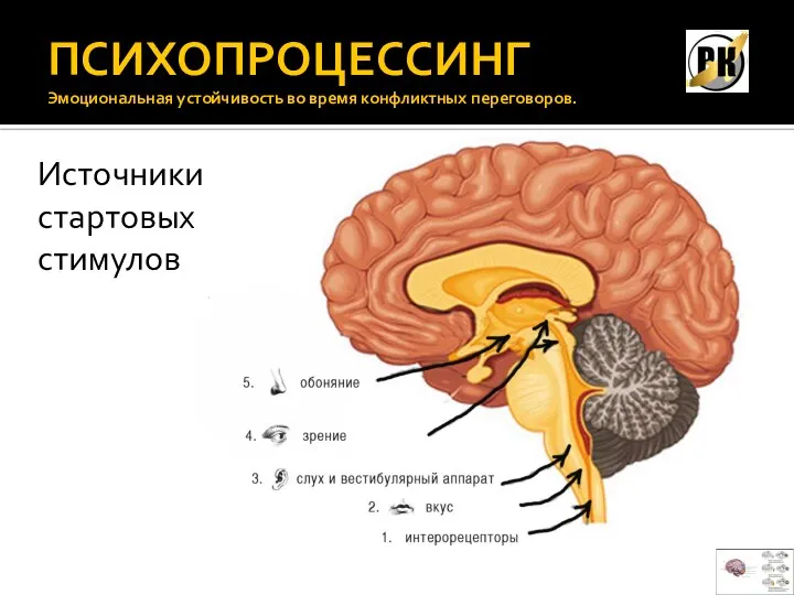 ПСИХОПРОЦЕССИНГ Эмоциональная устойчивость во время конфликтных переговоров. Источники стартовых стимулов