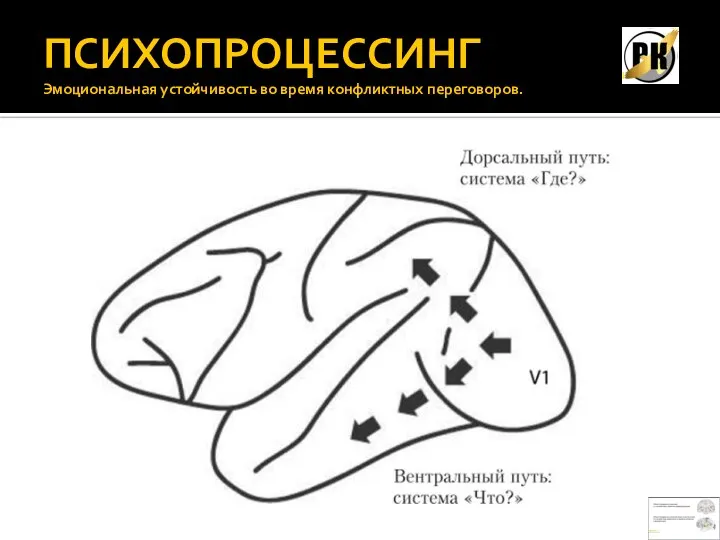 ПСИХОПРОЦЕССИНГ Эмоциональная устойчивость во время конфликтных переговоров.