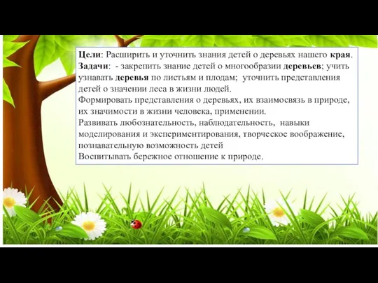 Цели: Расширить и уточнить знания детей о деревьях нашего края. Задачи: -