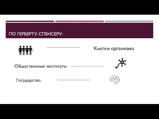 ПО ГЕРБЕРТУ СПЕНСЕРУ: Клетки организма Государство Общественные институты