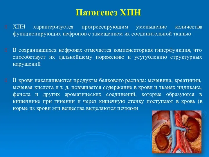 Патогенез ХПН ХПН характеризуется прогрессирующим уменьшение количества функционирующих нефронов с замещением их