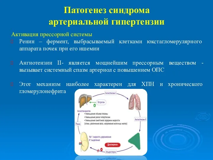 Патогенез синдрома артериальной гипертензии Активация прессорной системы Ренин – фермент, выбрасываемый клетками