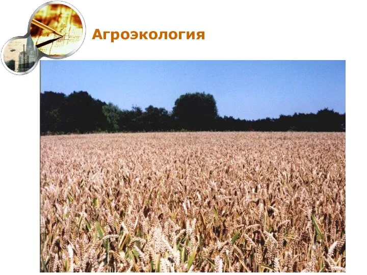 Агроэкология