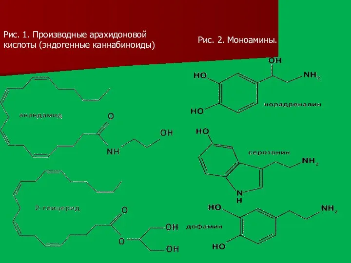 Рис. 2. Моноамины. Рис. 1. Производные арахидоновой кислоты (эндогенные каннабиноиды)