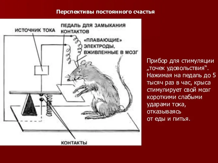 Прибор для стимуляции „точек удовольствия“. Нажимая на педаль до 5 тысяч раз