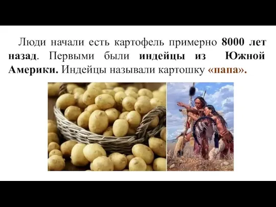Люди начали есть картофель примерно 8000 лет назад. Первыми были индейцы из