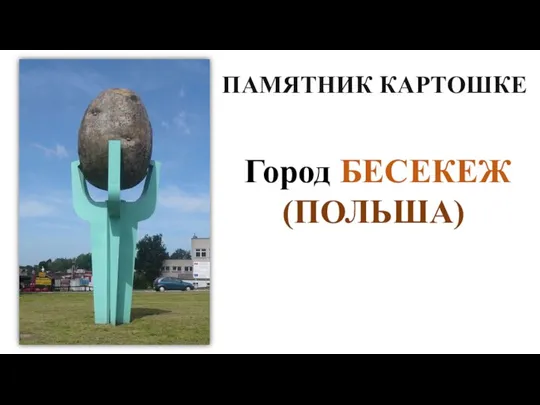 ПАМЯТНИК КАРТОШКЕ Город БЕСЕКЕЖ (ПОЛЬША)