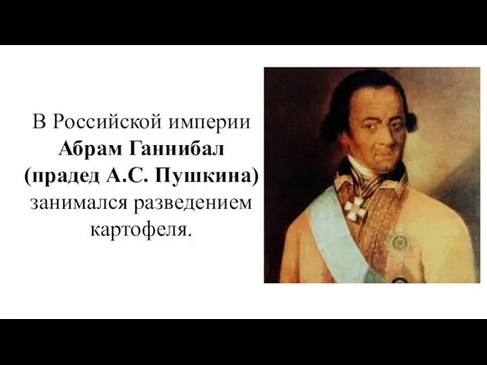 В Российской империи Абрам Ганнибал (прадед А.С. Пушкина) занимался разведением картофеля.