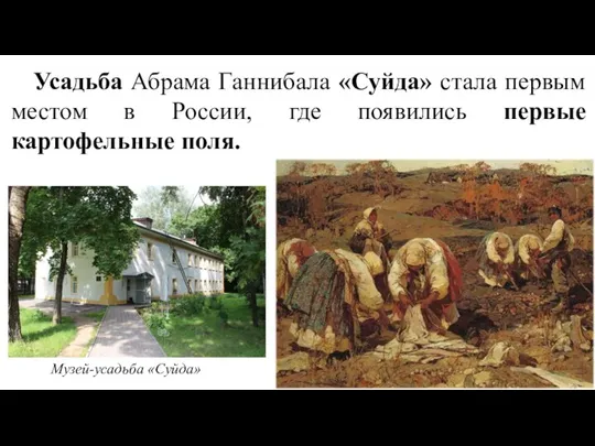 Усадьба Абрама Ганнибала «Суйда» стала первым местом в России, где появились первые картофельные поля. Музей-усадьба «Суйда»
