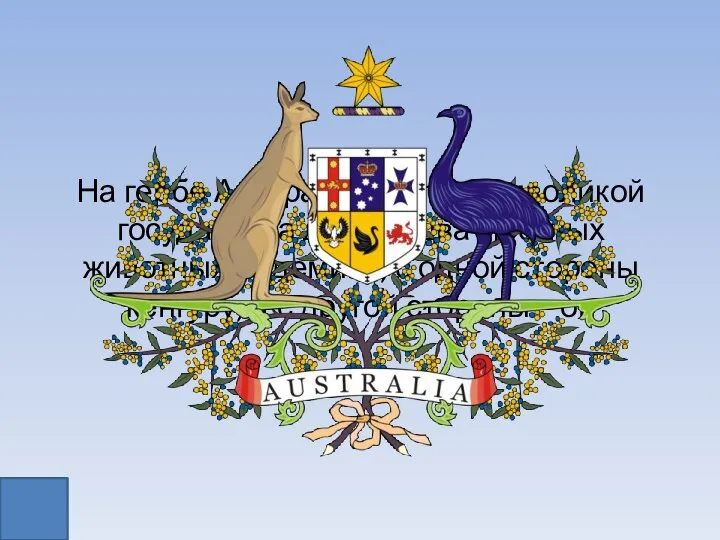 На гербе Австралии щит с символикой государства держат два местных животных-эндемика, с