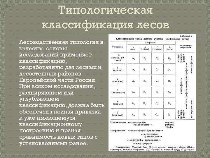 Типологическая классификация лесов Лесоводственная типология в качестве основы исследований применяет классификацию, разработанную