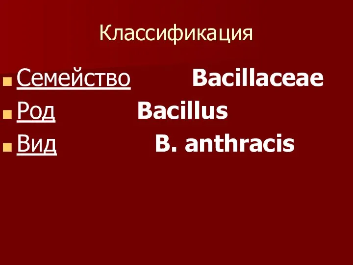 Классификация Семейство Bacillaceae Род Bacillus Вид B. anthracis