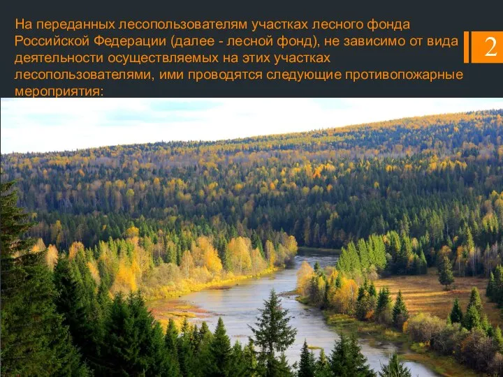 На переданных лесопользователям участках лесного фонда Российской Федерации (далее - лесной фонд),