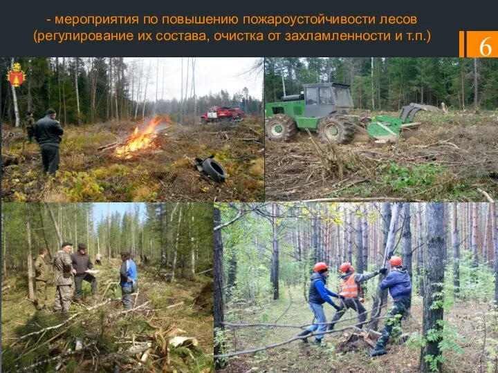 - мероприятия по повышению пожароустойчивости лесов (регулирование их состава, очистка от захламленности и т.п.)