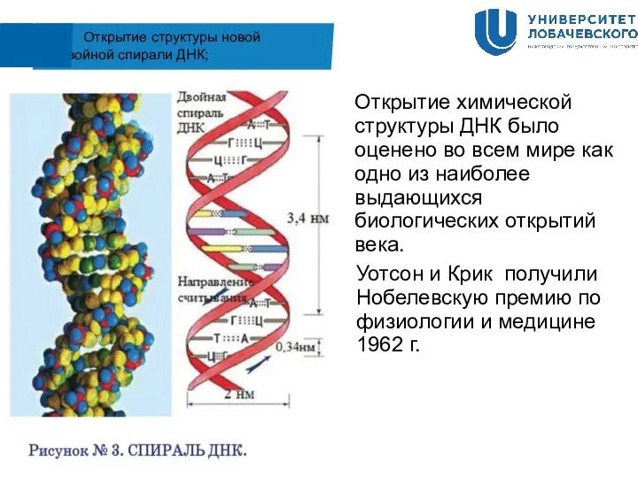 Открытие структуры новой двойной спирали ДНК; Открытие химической структуры ДНК было оценено