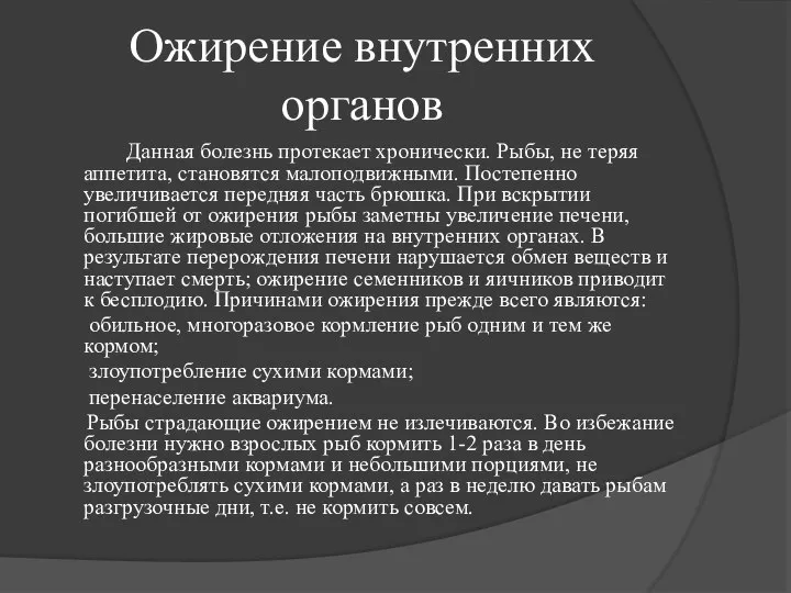 Ожирение внутренних органов Данная болезнь протекает хронически. Рыбы, не теряя аппетита, становятся