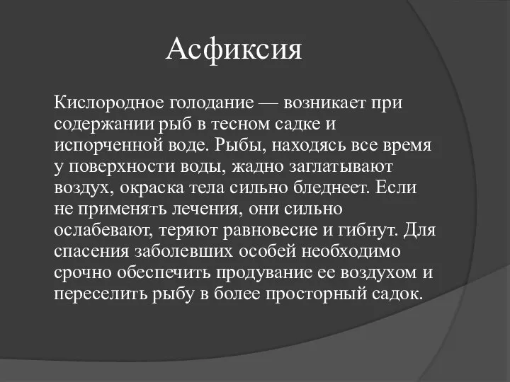 Асфиксия Кислородное голодание — возникает при содержании рыб в тесном садке и