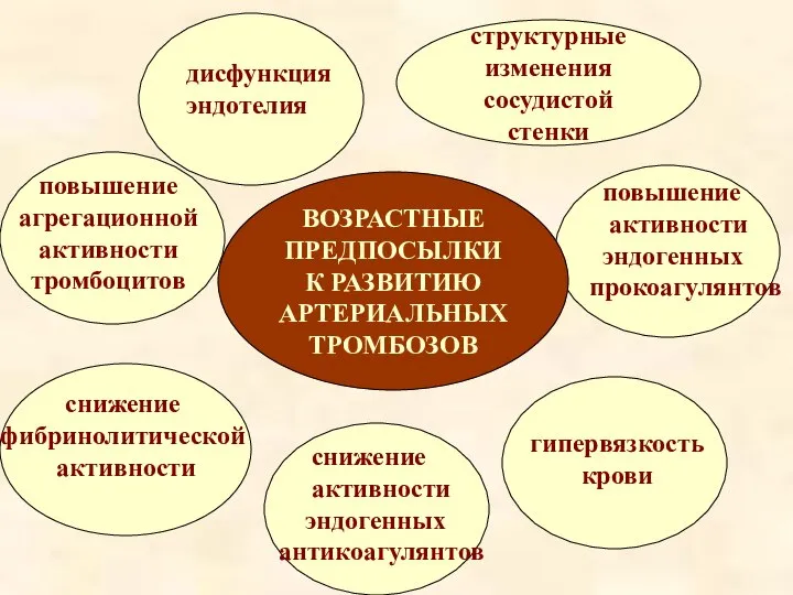 ВОЗРАСТНЫЕ ПРЕДПОСЫЛКИ К РАЗВИТИЮ АРТЕРИАЛЬНЫХ ТРОМБОЗОВ структурные изменения сосудистой стенки дисфункция эндотелия