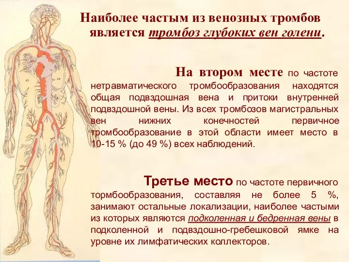 На втором месте по частоте нетравматического тромбообразования находятся общая подвздошная вена и