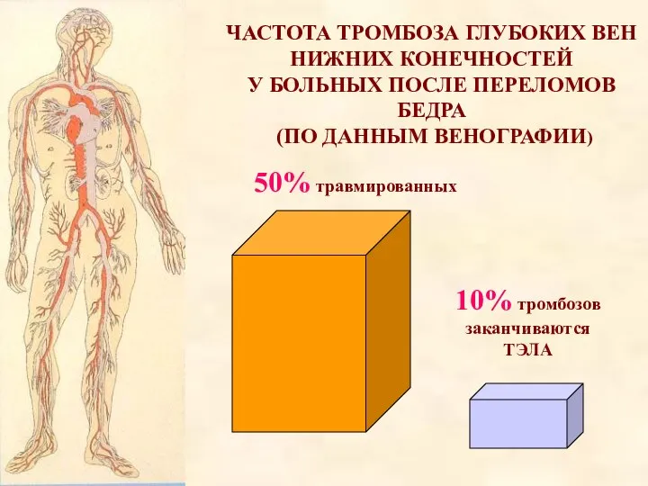 ЧАСТОТА ТРОМБОЗА ГЛУБОКИХ ВЕН НИЖНИХ КОНЕЧНОСТЕЙ У БОЛЬНЫХ ПОСЛЕ ПЕРЕЛОМОВ БЕДРА (ПО