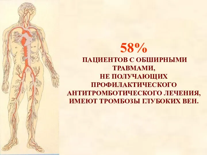 58% ПАЦИЕНТОВ С ОБШИРНЫМИ ТРАВМАМИ, НЕ ПОЛУЧАЮЩИХ ПРОФИЛАКТИЧЕСКОГО АНТИТРОМБОТИЧЕСКОГО ЛЕЧЕНИЯ, ИМЕЮТ ТРОМБОЗЫ ГЛУБОКИХ ВЕН.